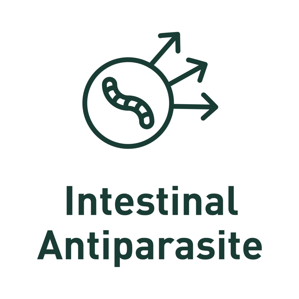 Intestinal Anti parasite 03
