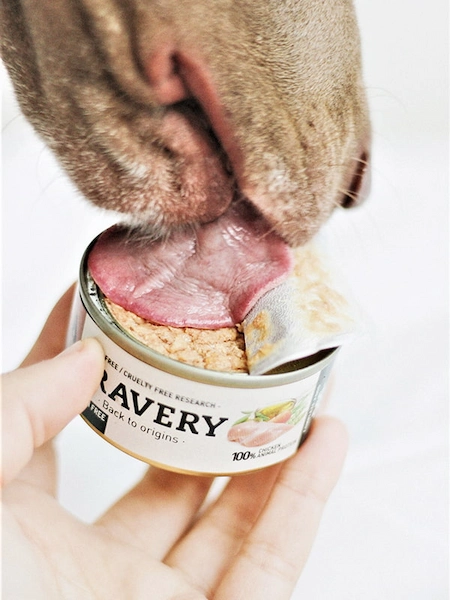 comida húmeda para perros